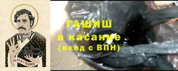 шишки Горно-Алтайск