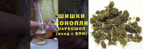 крисы Горняк