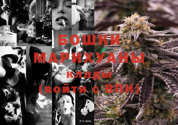 крисы Горняк