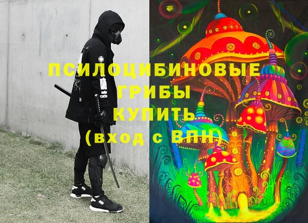 шишки Горно-Алтайск