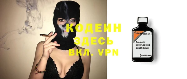 шишки Горно-Алтайск