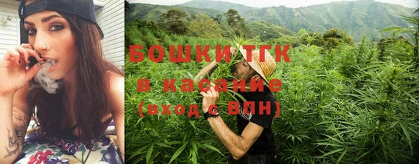 шишки Горно-Алтайск