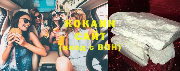 крисы Горняк