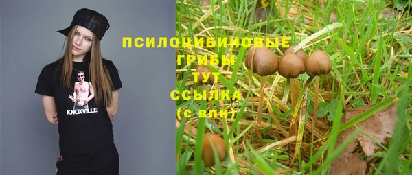 альфа пвп Горнозаводск