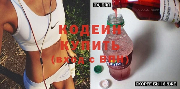 шишки Горно-Алтайск