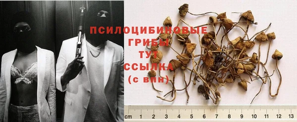 MESCALINE Чегем
