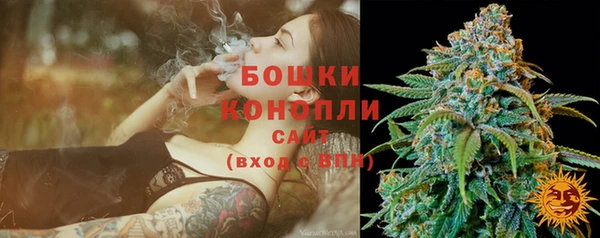альфа пвп Горнозаводск