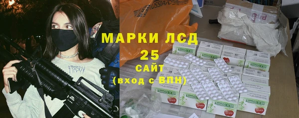 шишки Горно-Алтайск