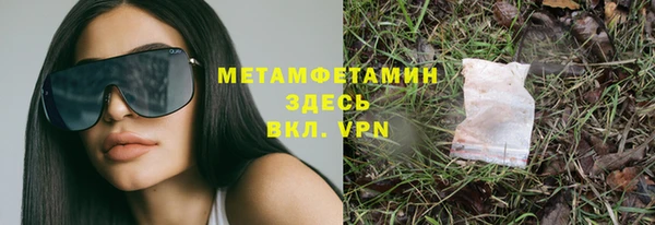 шишки Горно-Алтайск