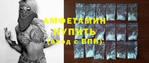 шишки Горно-Алтайск