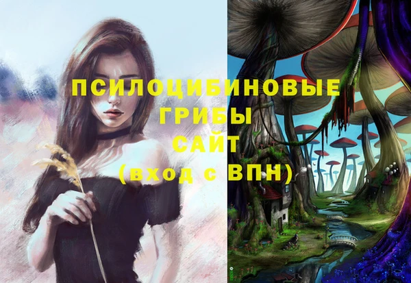 альфа пвп Горнозаводск