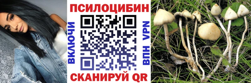 Псилоцибиновые грибы MAGIC MUSHROOMS  купить  сайты  Георгиевск 