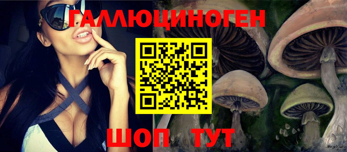 Георгиевск  Псилоцибиновые грибы Psilocybe  Вход с VPN 