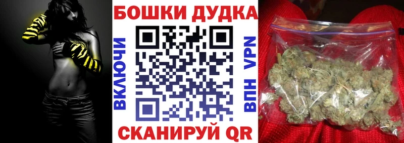 Бошки Шишки планчик mega вход Георгиевск купить закладку